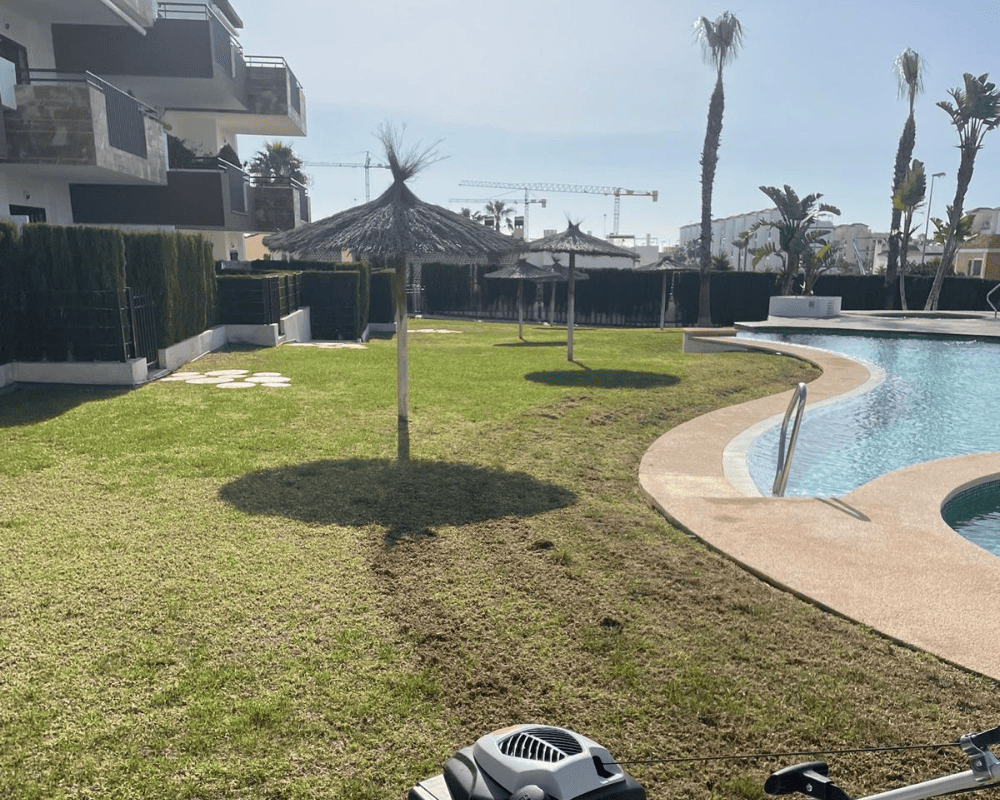 Corte de césped y jardín arreglado